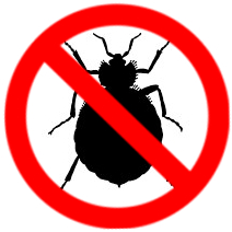 bed bug control solutions in brampton