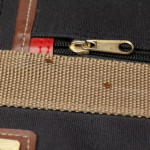 bed-bugs-suitcase